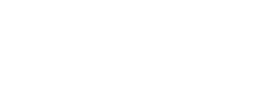 stavvy-white-logo